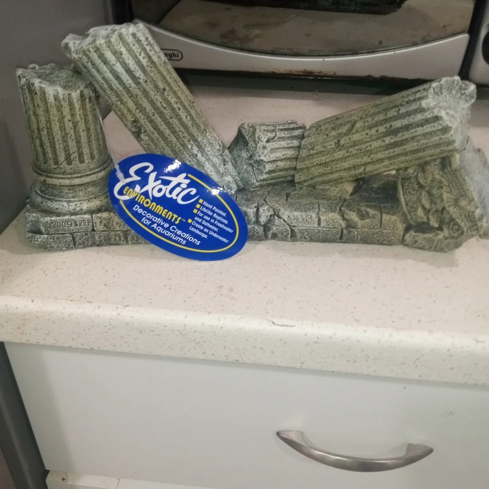 Fish tank decorations got bulk